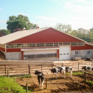 Post Frame Building for your livestock
