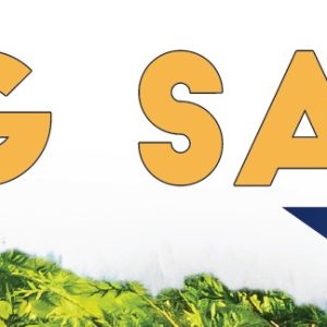 2025 May Sale